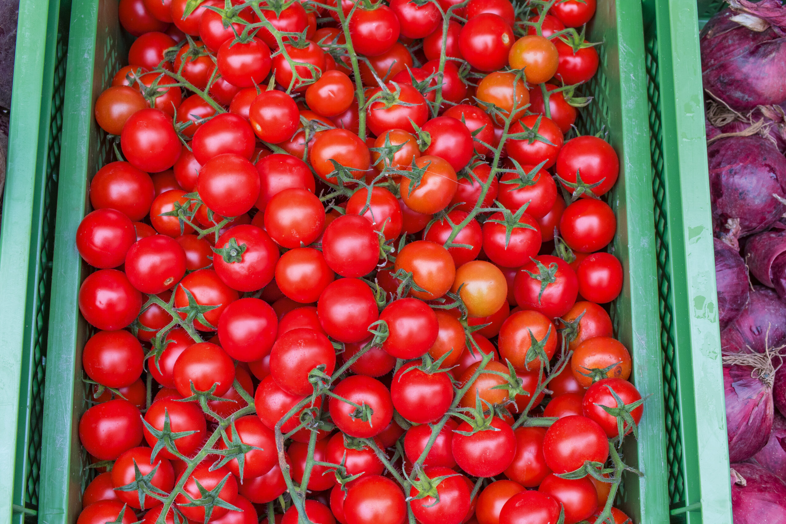 Isener Bauernmarkt Angebotsübersicht Bio-Gemüse